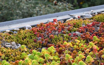 the cost of Water End green roof installation
