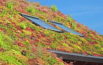 Water End living roof systems